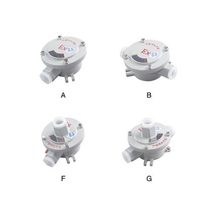 AH系列防爆接線盒( IIc、tD)